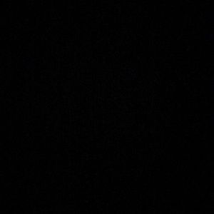 Meet your Posher, Bree